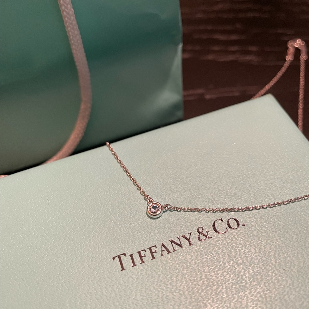 Authentic Tiffany Elsa Peretti Aquamarine Necklace